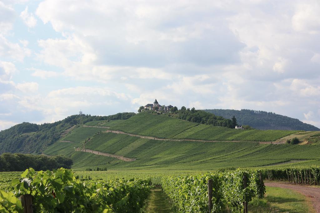 Zwei Ferienwohnungen "Im Weingarten " Burg  Ruang foto